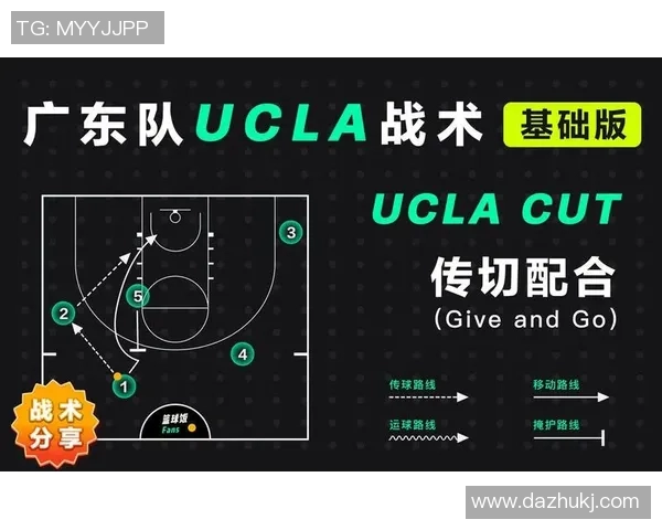 深圳羽毛球队与上海羽毛球队赛后战术分析与总结探讨